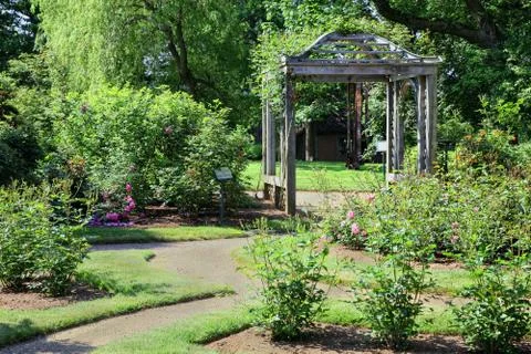 Rose arbor Stock Photos