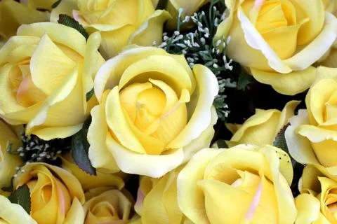 Rose artificial flower Stock Photos