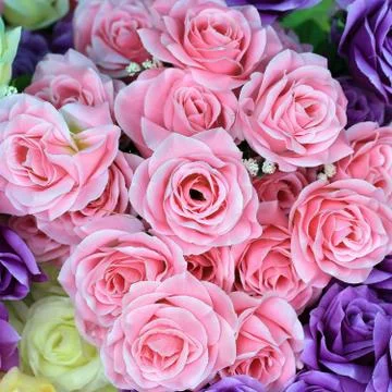 Rose artificial flower Stock Photos