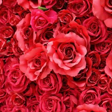 Rose artificial flower Stock Photos