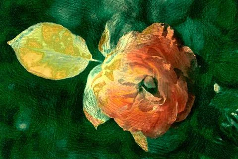 Rose artwork 写真素材