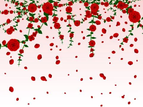 Rose background Stock Illustration