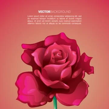Rose Background Stock Illustration