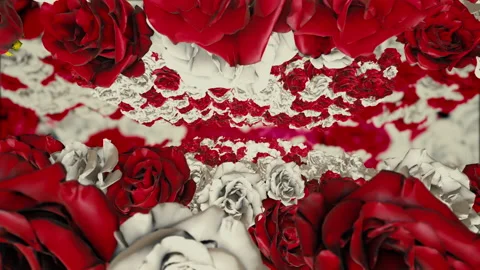 ROSE BACKGROUND LOOP 4K ver2 | Stock Video | Pond5