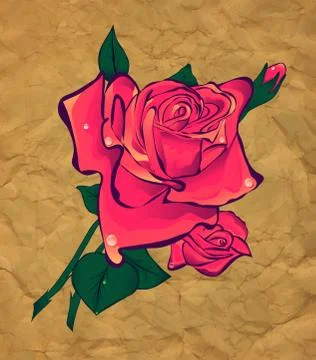 Rose on a background paper Stockillustratie