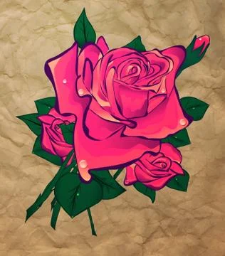 Rose on a background paper Stock Illustration