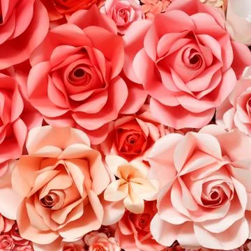 Rose background from paper Stock Photos