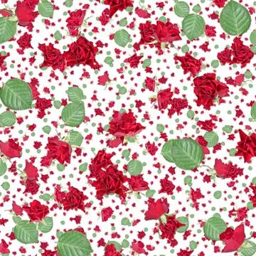 Rose background (on white) Stock Illustration