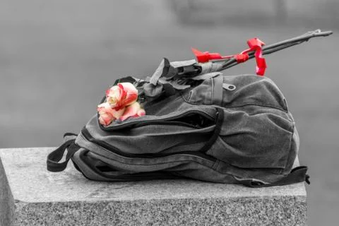 Rose on a backpack, accent color Foto stock