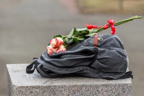 Rose on a backpack Stock Photos