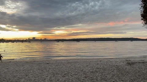 Rose Bay beach at sunset 스톡 동영상 305990569