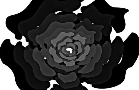 Rose (black&amp;white) Illustrazione stock