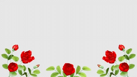 Rose Blooming Arch Frame Animation, Semi Circular Floral Border Background Video stock 328969377