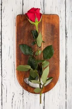 Rose on the boards Stock Photos