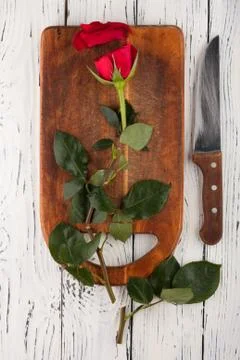 Rose on the boards Stock Photos