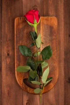 Rose on the boards Stock Photos