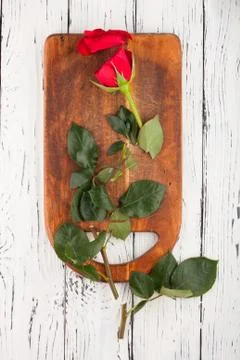 Rose on the boards Stock Photos