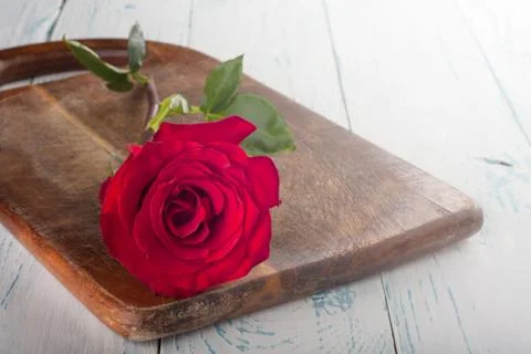 Rose on the boards Stock Photos