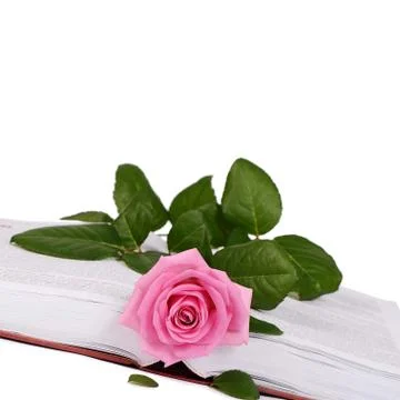 The rose on the book close-up Stock Photos