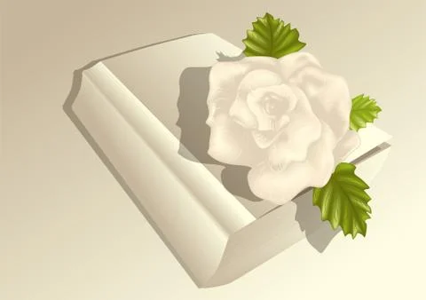 Rose on the book Stock Illustration