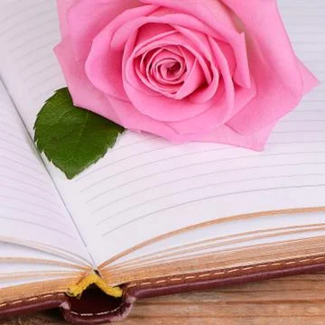 The rose on the book Stock Photos