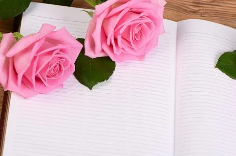 The rose on the book Stock Photos