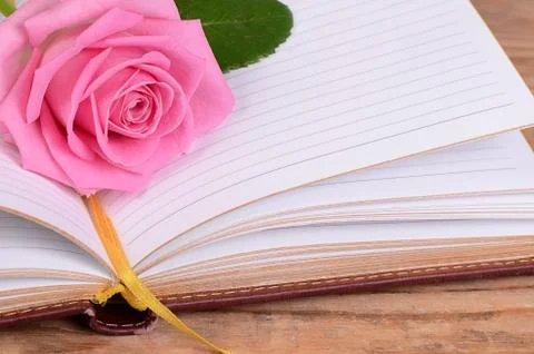 The rose on the book Stock Photos