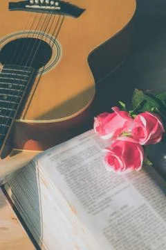 Rose on a book Stock Photos