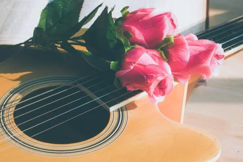 Rose on a book Stock Photos
