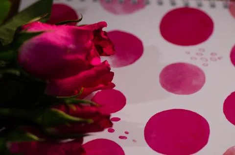 Rose in book Stock Photos