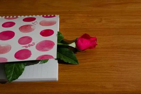 Rose in book Stock Photos