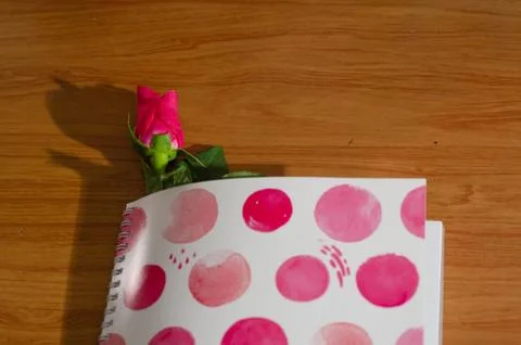 Rose in book Stock Photos