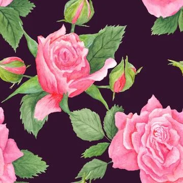 Rose Botanical Watercolor Pattern Stock Illustration