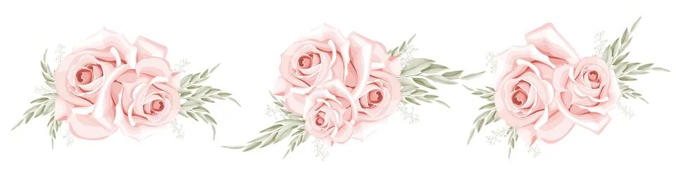 Rose bouquet. Illustrazione stock
