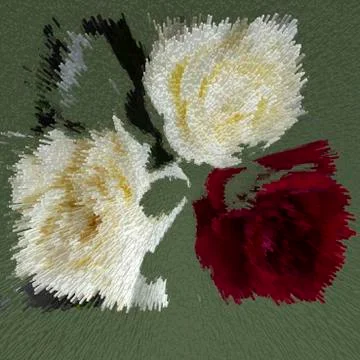 Rose bouquet  Stock Photos