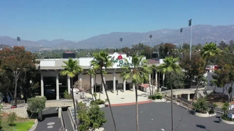Rose Bowl 動画素材 153874825