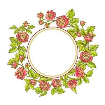 Rose branch vector frame Stock Illustration