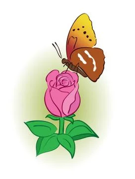 Rose with bright butterfly - vector Stock Illustration