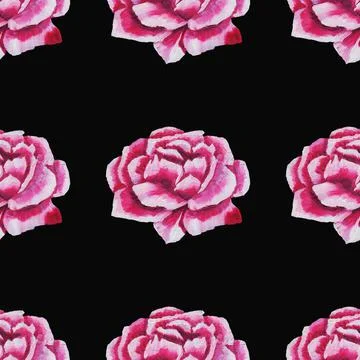 Rose with brush strokes Stock Illustration
