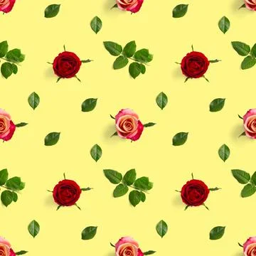 Rose bud seamless pattern. head of rose bloom isolated on yellow pattern, pop Stock Photos
