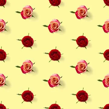 Rose bud seamless pattern. head of rose bloom isolated on yellow pattern, pop Stock Photos