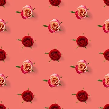 Rose bud seamless pattern. head of rose bloom isolated on red pattern, pop art Stock Photos