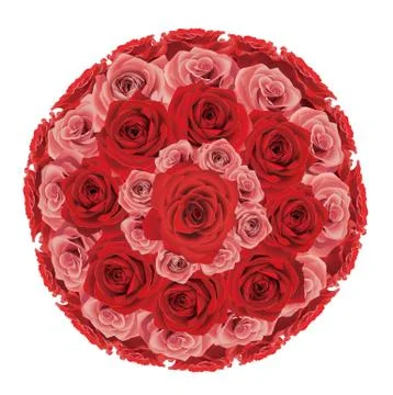 Rose bunch Illustrazione stock