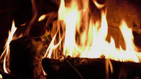 Rose burning in a fireplace Stock Footage 63308053
