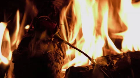 Rose burning in a fireplace Stock Footage 63308280