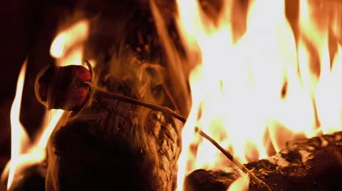 Rose burning in a fireplace Stock Footage 63309291