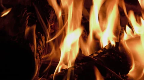 Rose burning in a fireplace Stock Footage 63310075