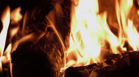 Rose burning in a fireplace Stock Footage 63311044