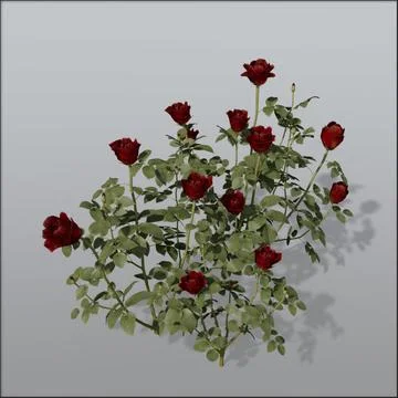 Rose bush Bundle1 3D Model