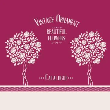 Rose bush. Stock Illustration